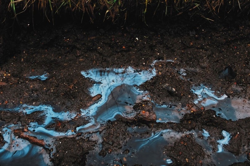 CIRCLE, le symposium qui ambitionne de redéfinir l’avenir du recyclage 5