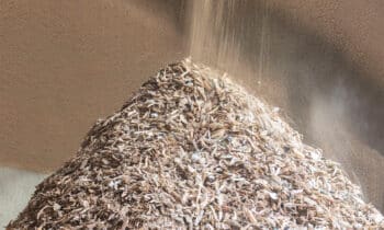 Meer hout redden van verbranding 2