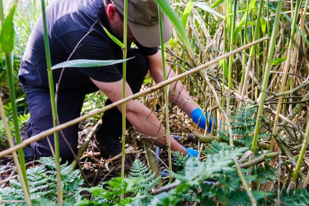 LIFE-project PFASTER in Willebroek: start onderzoek naar verspreiding en impact PFAS en innovatieve saneringstechnieken