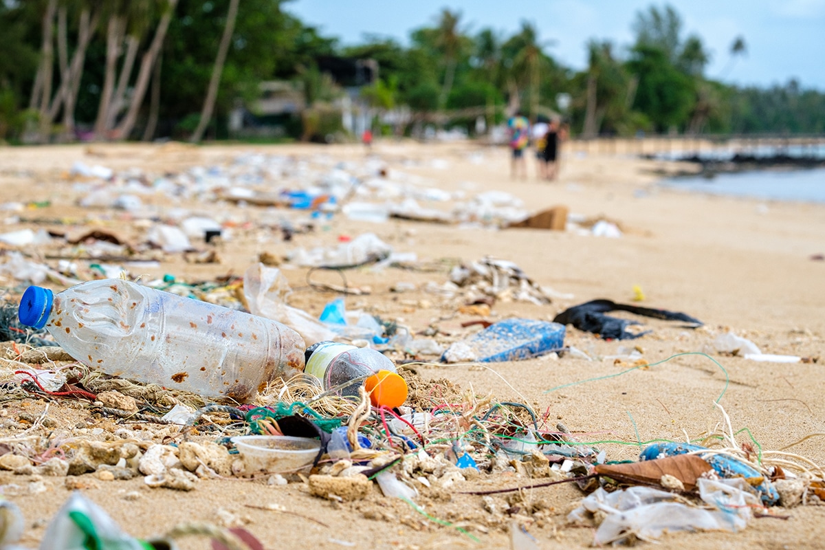 Beach pollution. Plastic bottles and other trash on the beach. Ecological problem