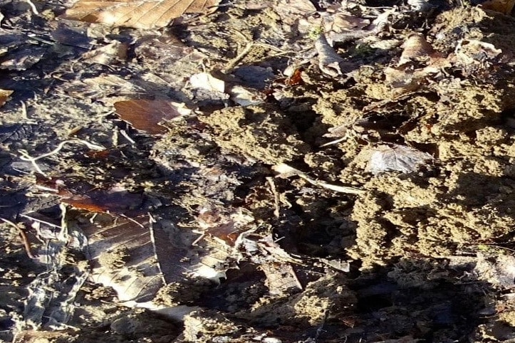 Wetgeving werkbaar houden voor de praktijk? 1